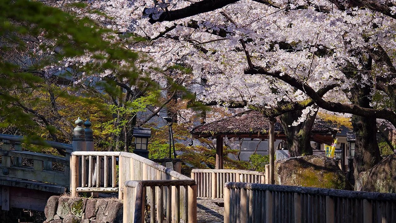 🌳 기타 구립 오토나시 친수공원(키타쿠리츠 오토나시 신스이코우엔) 이미지 3
